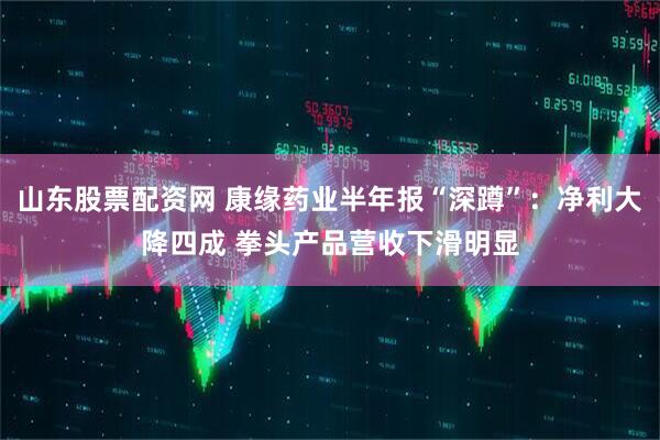 山东股票配资网 康缘药业半年报“深蹲”：净利大降四成 拳头产品营收下滑明显