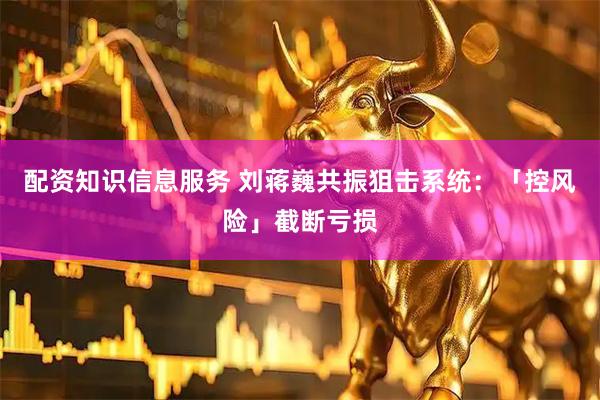 配资知识信息服务 刘蒋巍共振狙击系统：「控风险」截断亏损