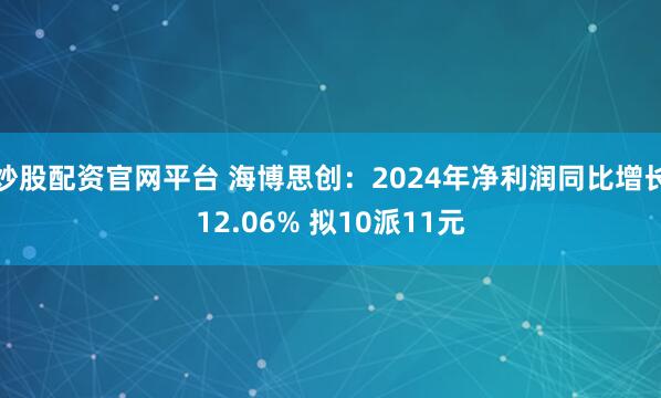 炒股配资官网平台 海博思创：2024年净利润同比增长12.06% 拟10派11元