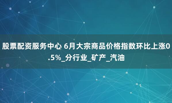 股票配资服务中心 6月大宗商品价格指数环比上涨0.5%_分行业_矿产_汽油