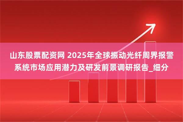 山东股票配资网 2025年全球振动光纤周界报警系统市场应用潜力及研发前景调研报告_细分