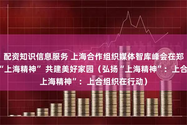配资知识信息服务 上海合作组织媒体智库峰会在郑州举行 弘扬“上海精神” 共建美好家园（弘扬“上海精神”：上合组织在行动）