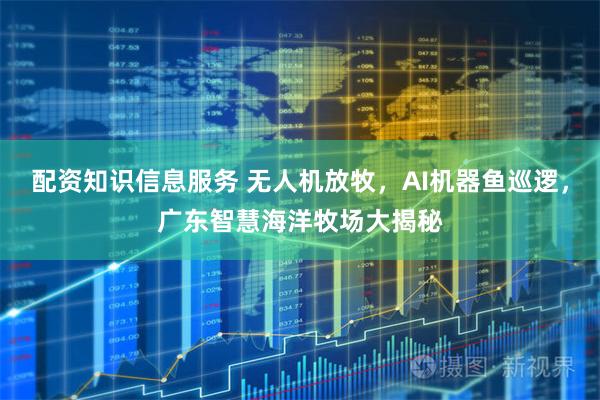 配资知识信息服务 无人机放牧，AI机器鱼巡逻，广东智慧海洋牧场大揭秘